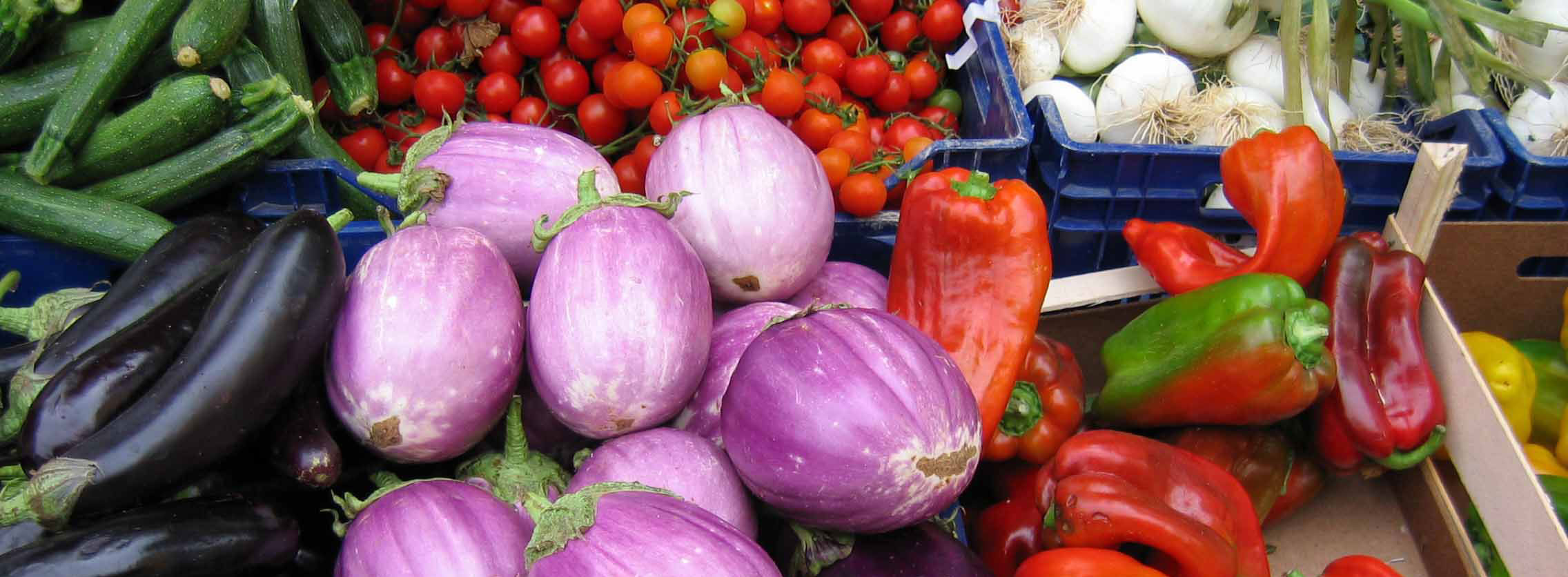 veg cookery in Marche